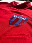 Remera Tipo Polo Dry Tunel 2024